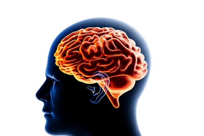Cerebro humano - Full Agenda